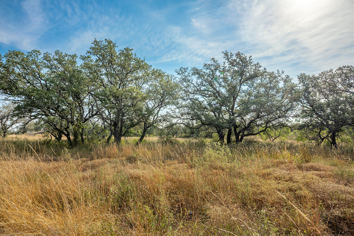 Shady Oaks Ranch