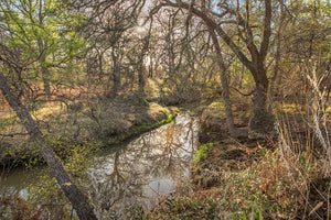 Antelope Camp & Farm