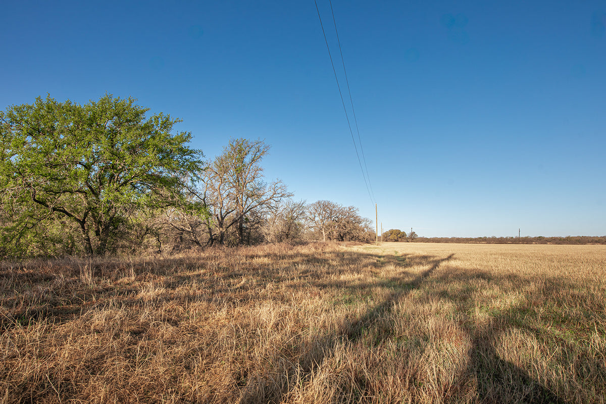 Antelope Camp & Farm
