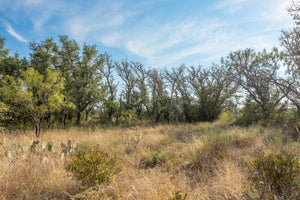 Shady Oaks Ranch