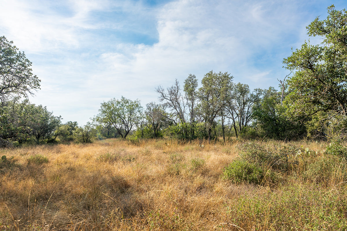 Shady Oaks Ranch