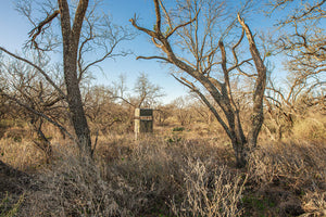 Antelope Camp & Farm