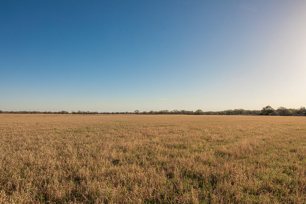 Antelope Camp & Farm