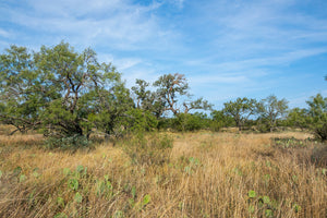 Shady Oaks Ranch