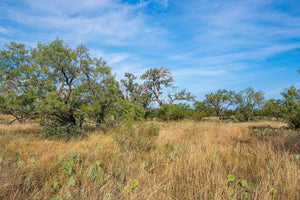 Shady Oaks Ranch