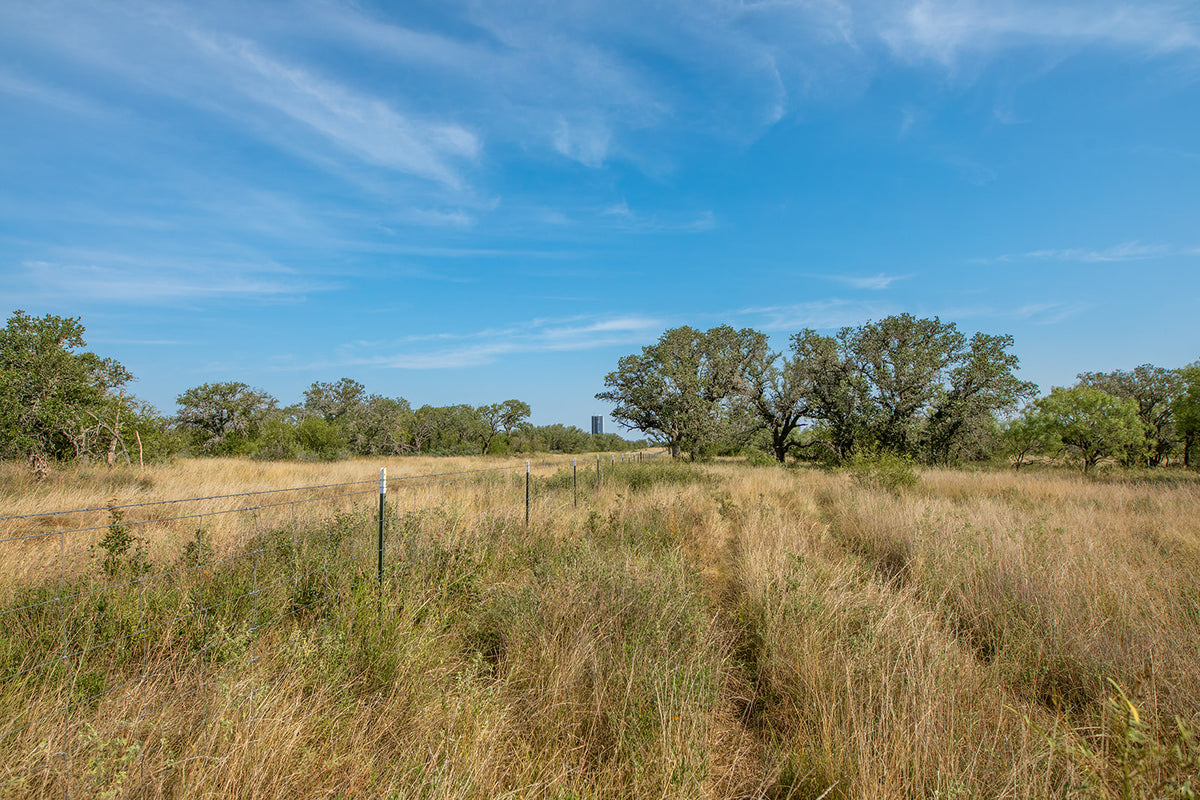 Shady Oaks Ranch
