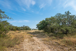 Shady Oaks Ranch