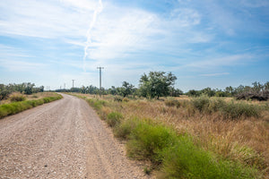 Shady Oaks Ranch