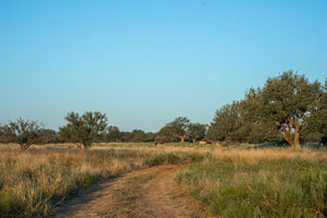 Long Valley Ranch