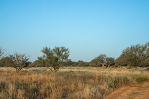 Long Valley Ranch