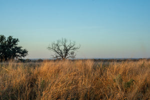 Long Valley Ranch
