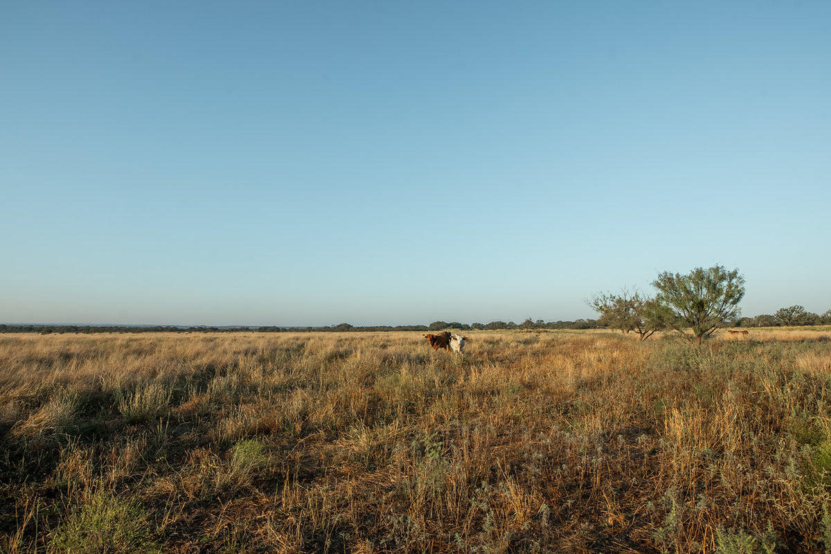 Long Valley Ranch