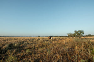 Long Valley Ranch