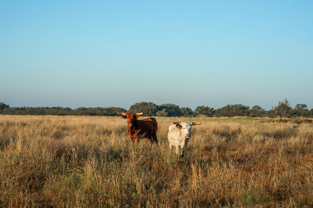 Long Valley Ranch