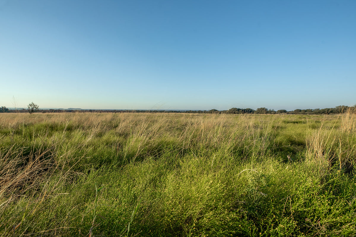 Long Valley Ranch
