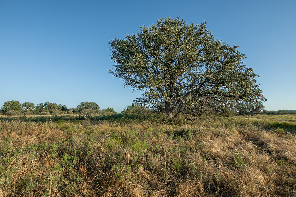 Long Valley Ranch