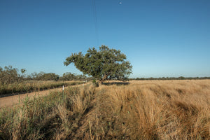 Long Valley Ranch
