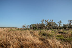 Long Valley Ranch