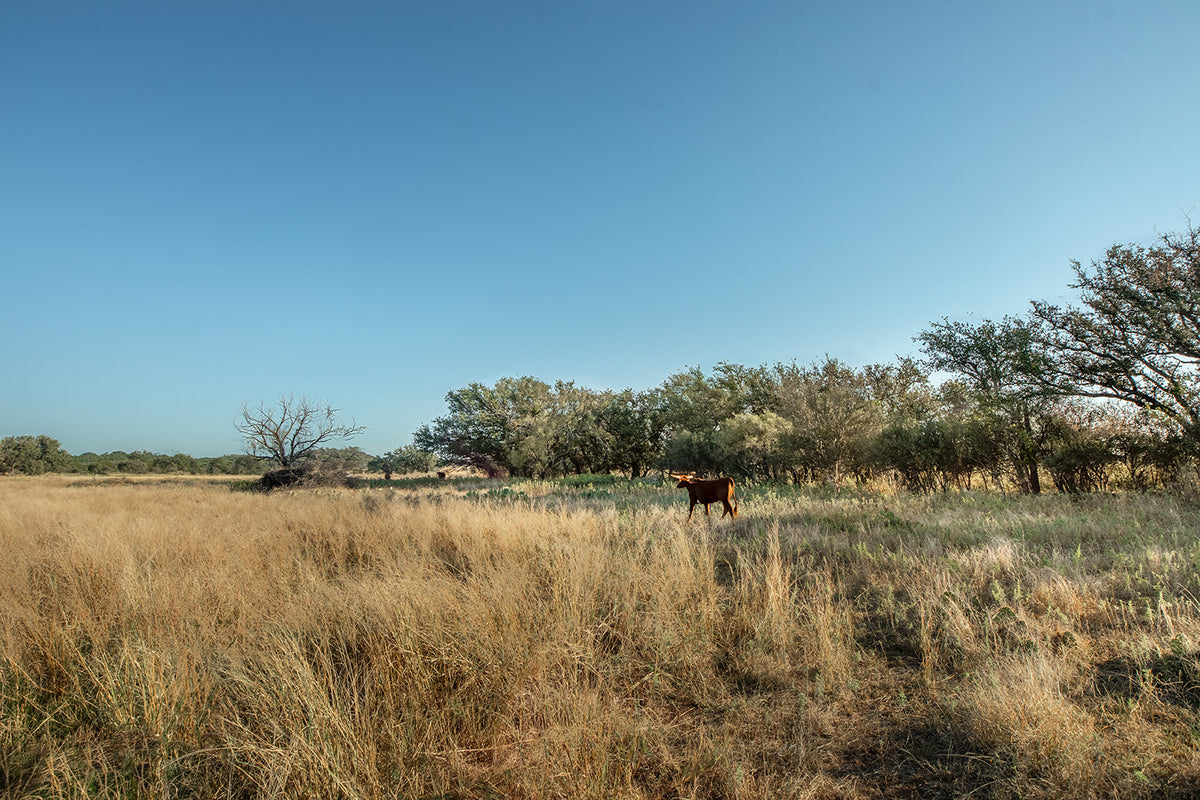 Long Valley Ranch