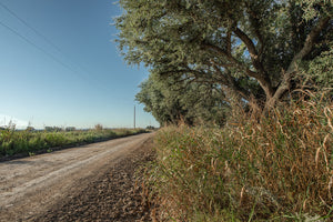 Long Valley Ranch