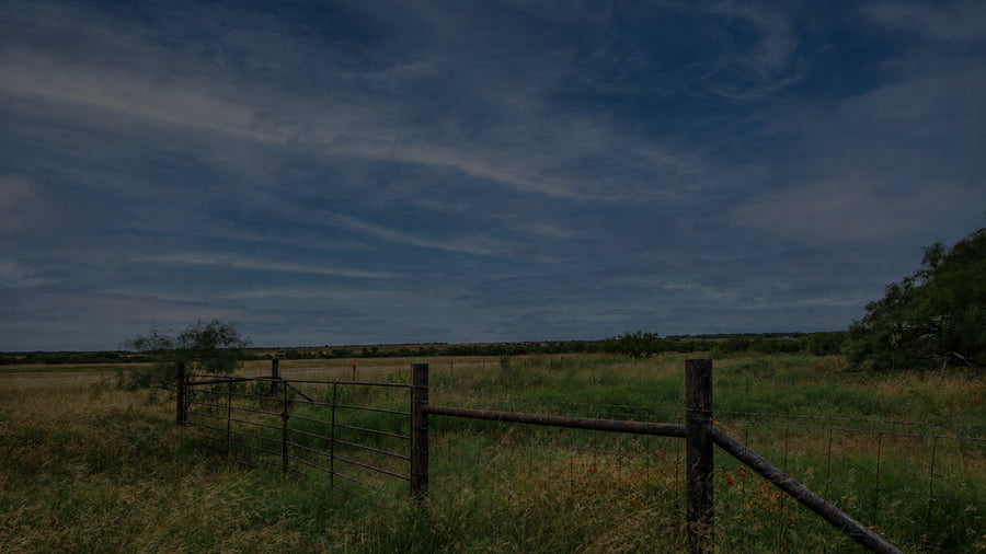 Rural landscape with a wooden fence and open field under a blue sky.