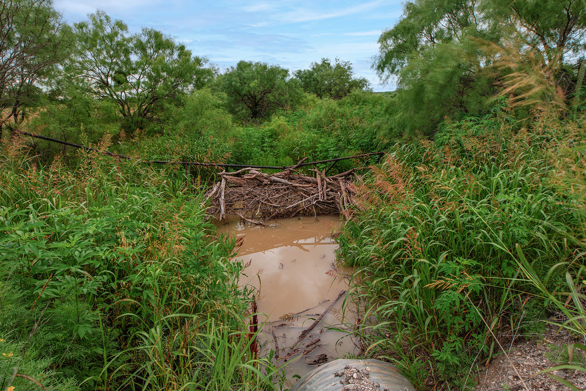 Texas Star Ranch