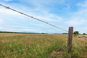 Texas Star Ranch