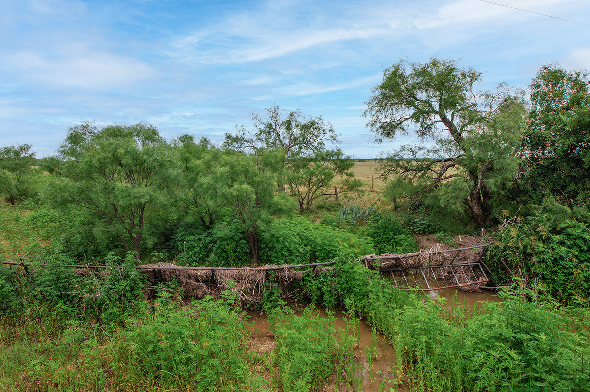 Texas Star Ranch