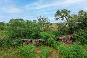 Texas Star Ranch