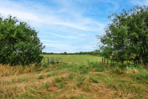 Texas Star Ranch