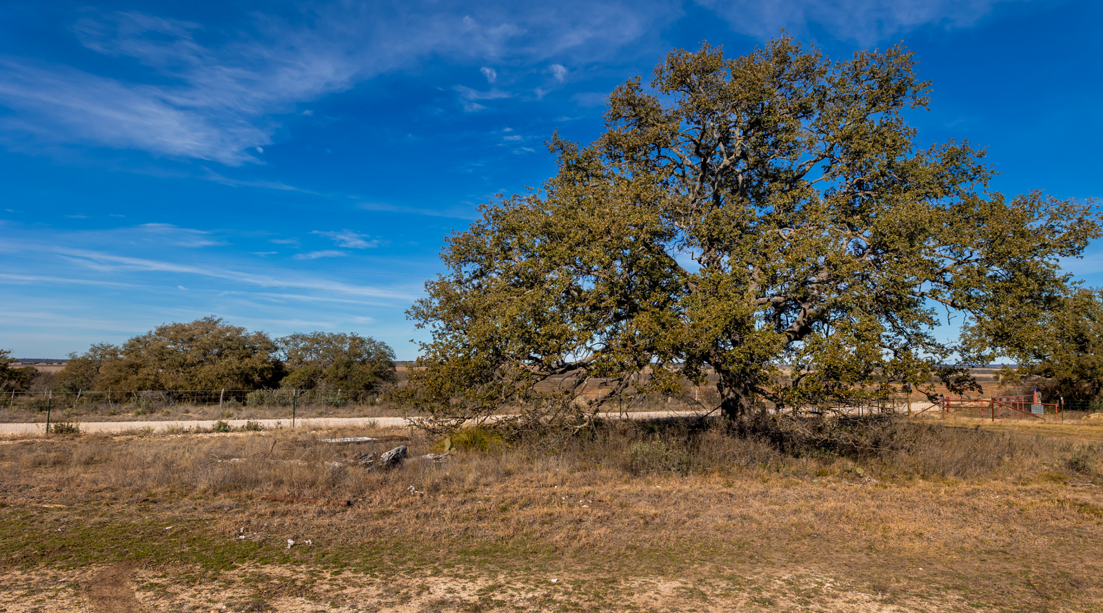 Buck Stop Ranch | 129-Acre Hunting Property with Barndominium for Sale in McCulloch County, Texas | Jacoby Land Co