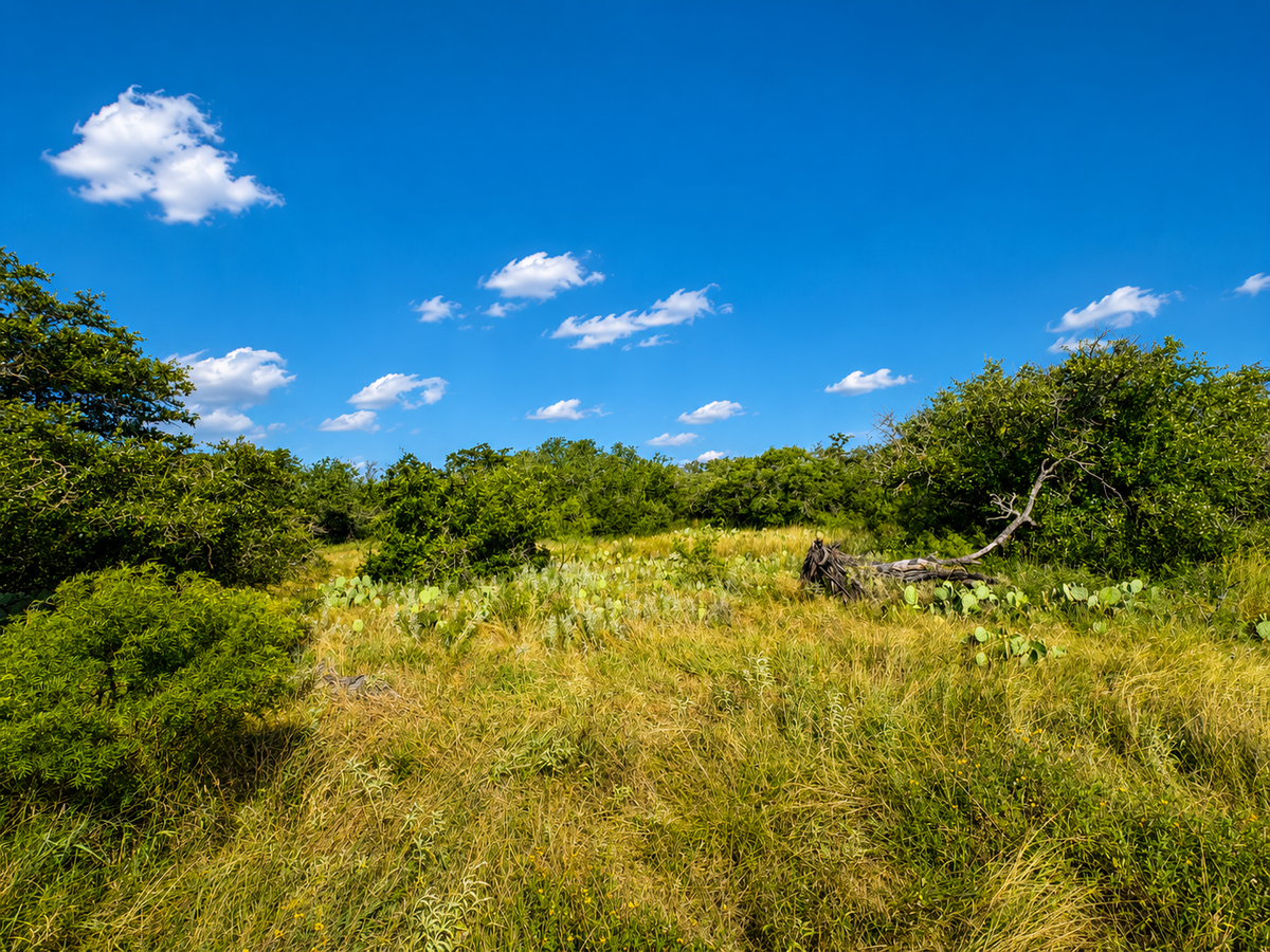 Randor Ranch
