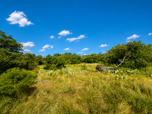 Randor Ranch