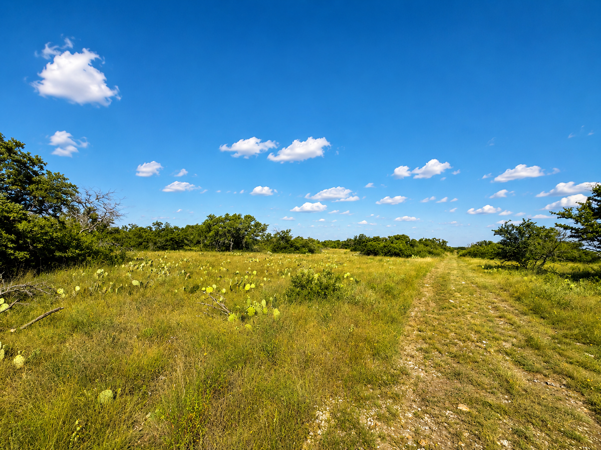 Randor Ranch
