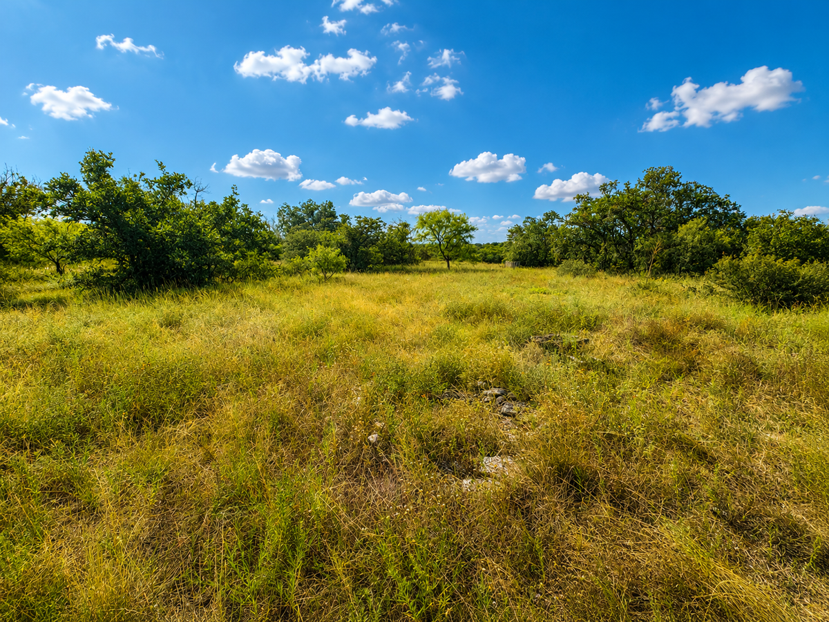 Randor Ranch
