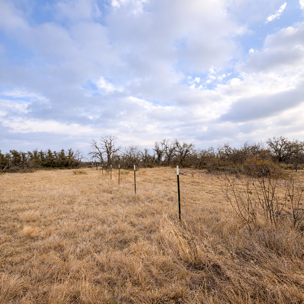 Shin Oak Ranch