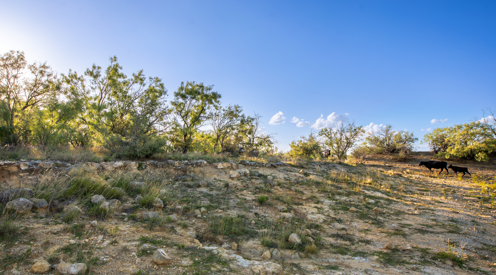 ELG Ranch | Scenic 334-Acre Hunting & Cattle Property for Sale Near Eden, Texas | Jacoby Land Co
