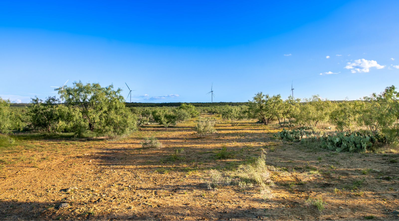 ELG Ranch | Scenic 334-Acre Hunting & Cattle Property for Sale Near Eden, Texas | Jacoby Land Co