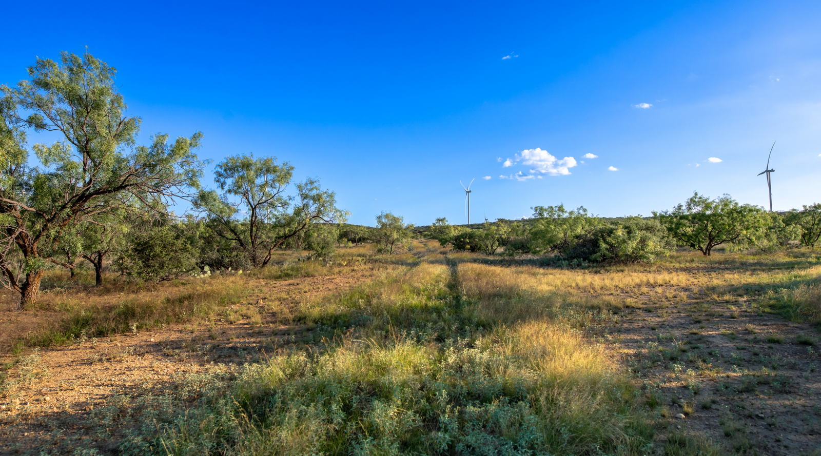 ELG Ranch | Scenic 334-Acre Hunting & Cattle Property for Sale Near Eden, Texas | Jacoby Land Co