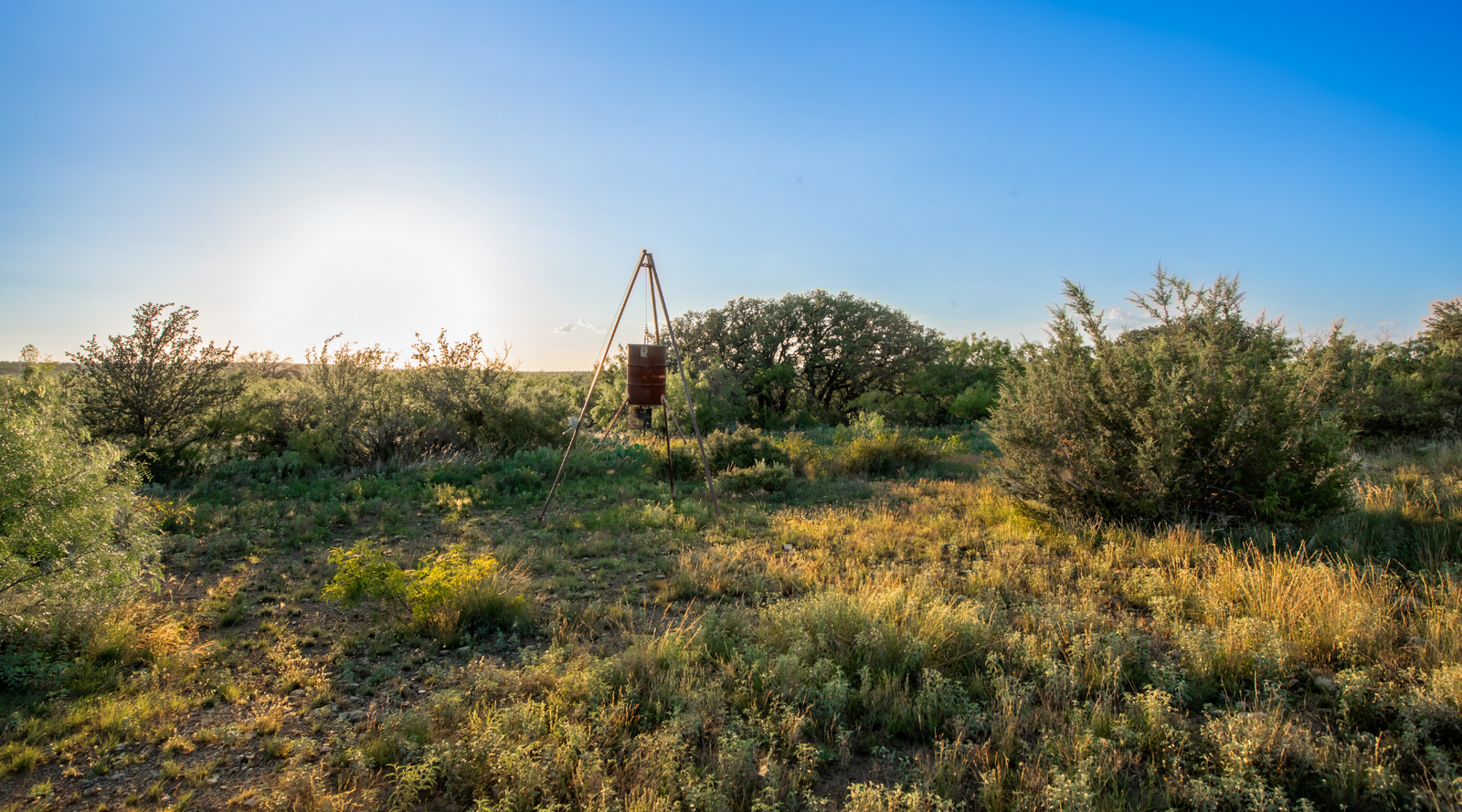 ELG Ranch | Scenic 334-Acre Hunting & Cattle Property for Sale Near Eden, Texas | Jacoby Land Co
