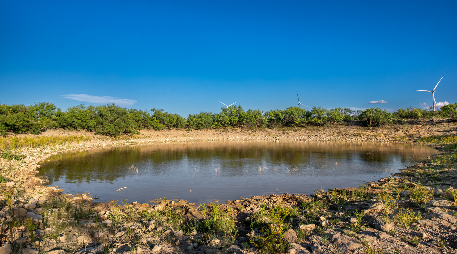 ELG Ranch | Scenic 334-Acre Hunting & Cattle Property for Sale Near Eden, Texas | Jacoby Land Co
