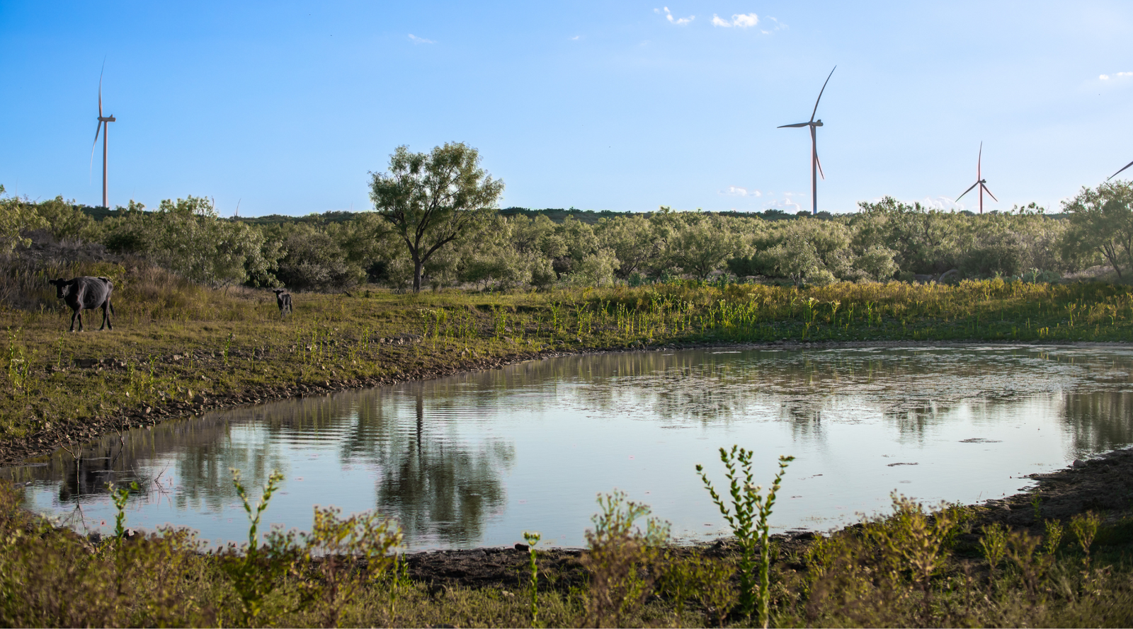 ELG Ranch | Scenic 334-Acre Hunting & Cattle Property for Sale Near Eden, Texas | Jacoby Land Co