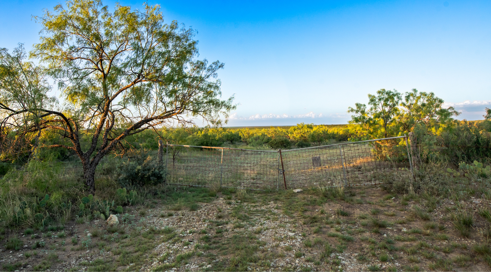 ELG Ranch | Scenic 334-Acre Hunting & Cattle Property for Sale Near Eden, Texas | Jacoby Land Co