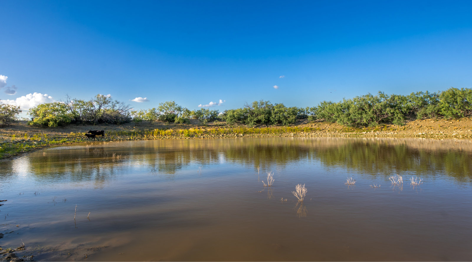 ELG Ranch | Scenic 334-Acre Hunting & Cattle Property for Sale Near Eden, Texas | Jacoby Land Co