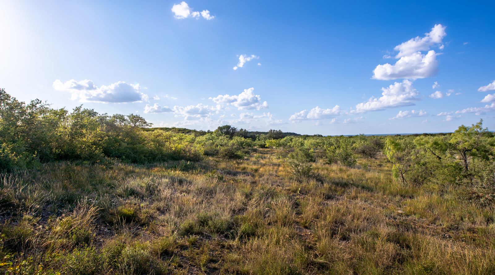 ELG Ranch | Scenic 334-Acre Hunting & Cattle Property for Sale Near Eden, Texas | Jacoby Land Co