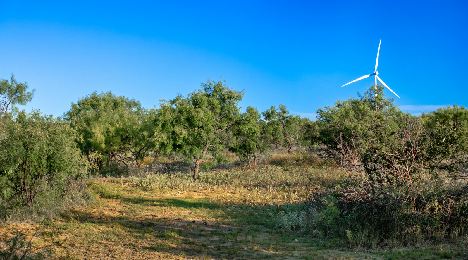 ELG Ranch | Scenic 334-Acre Hunting & Cattle Property for Sale Near Eden, Texas | Jacoby Land Co