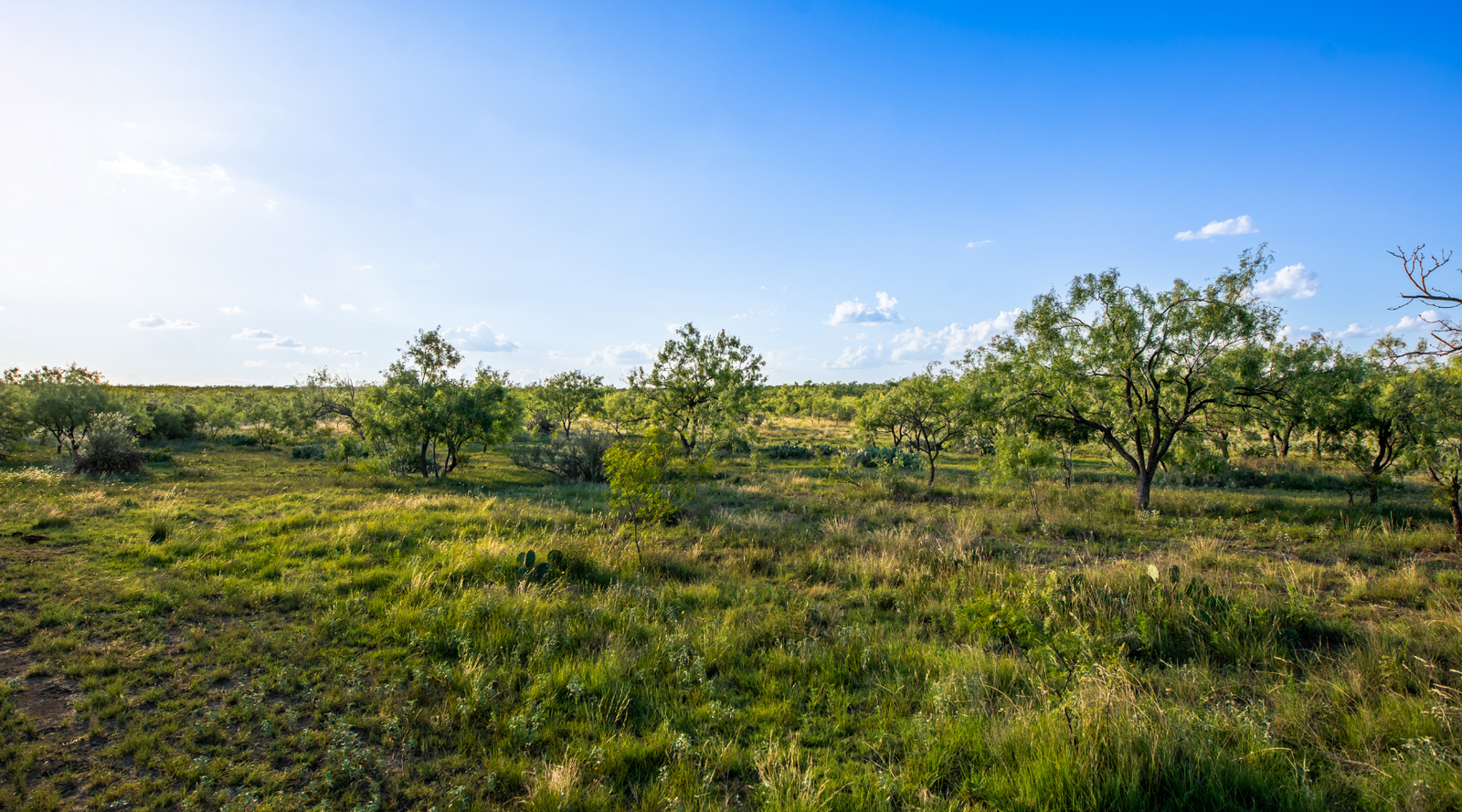 ELG Ranch | Scenic 334-Acre Hunting & Cattle Property for Sale Near Eden, Texas | Jacoby Land Co