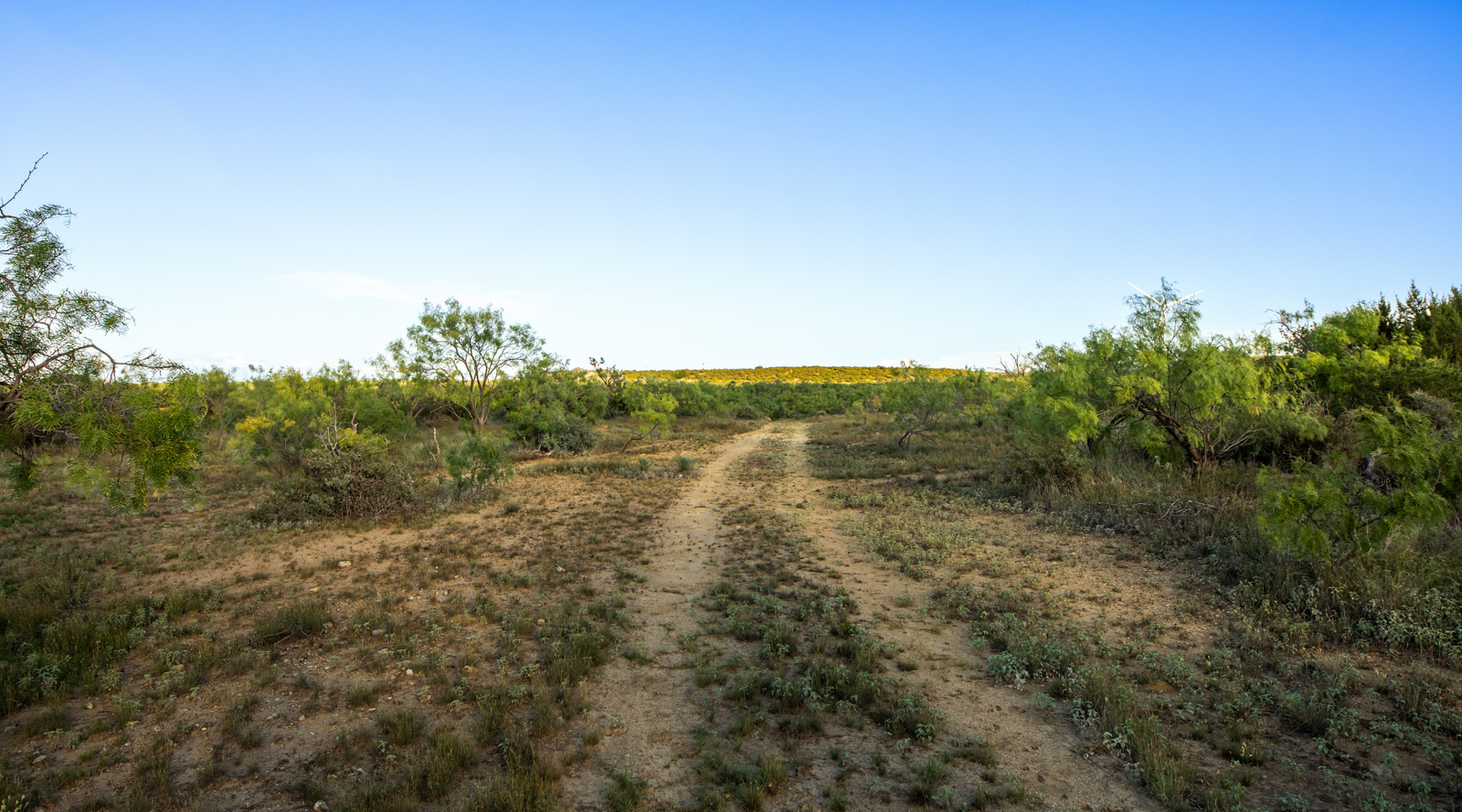 ELG Ranch | Scenic 334-Acre Hunting & Cattle Property for Sale Near Eden, Texas | Jacoby Land Co