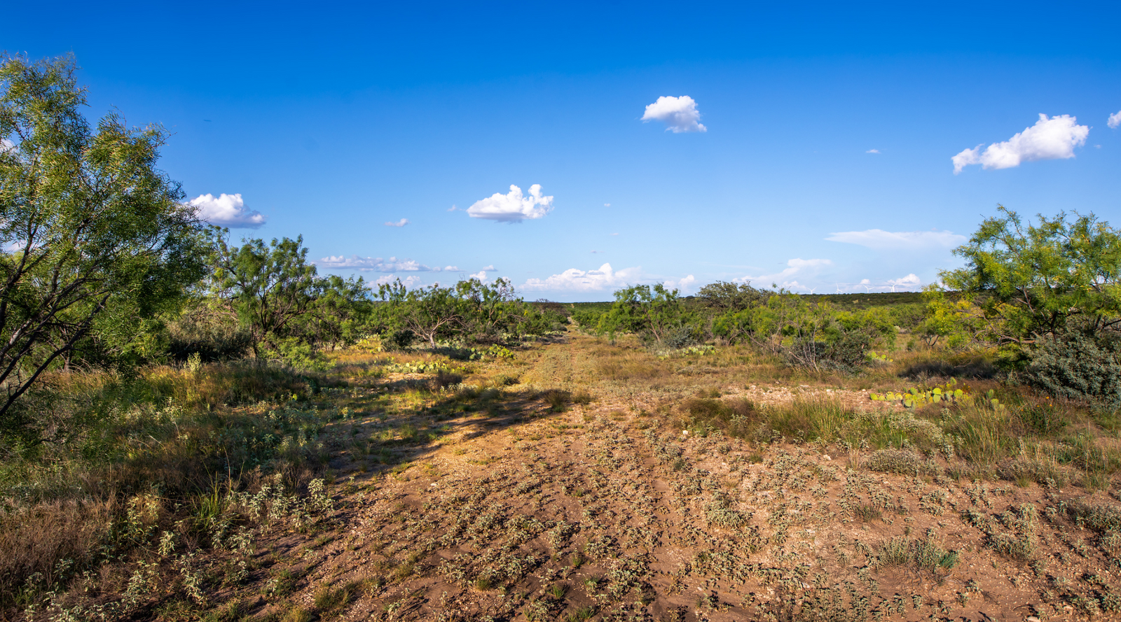 ELG Ranch | Scenic 334-Acre Hunting & Cattle Property for Sale Near Eden, Texas | Jacoby Land Co