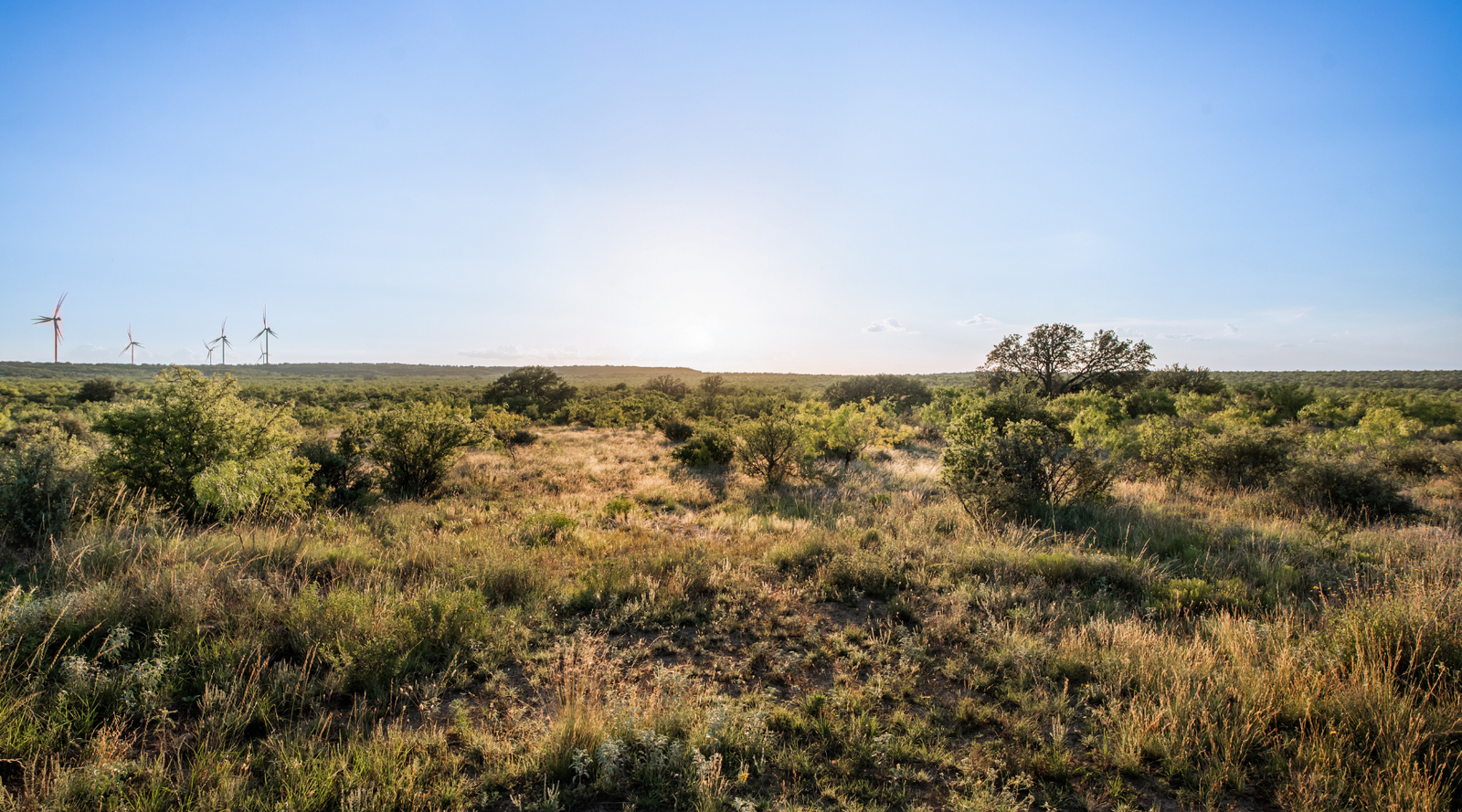 ELG Ranch | Scenic 334-Acre Hunting & Cattle Property for Sale Near Eden, Texas | Jacoby Land Co